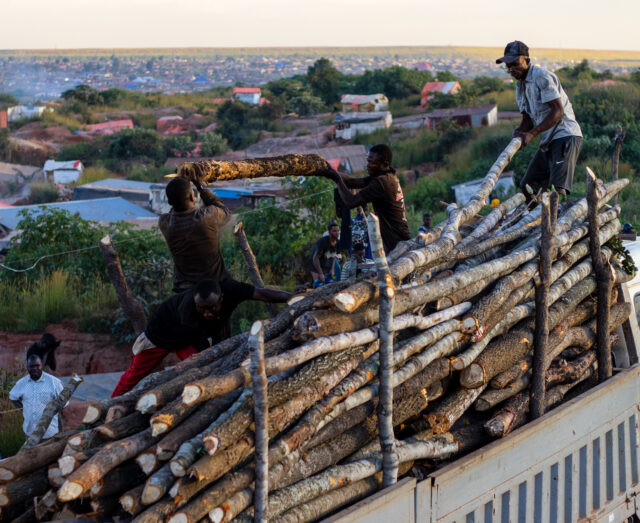 three men onto of a van unloading long slim logs